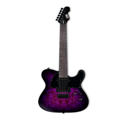 LTD Guitarra Eléctrica TE-200DX Purple Burst